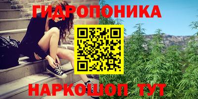 индика Гусев