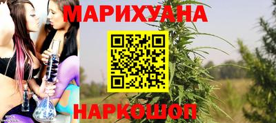 индика Гусев