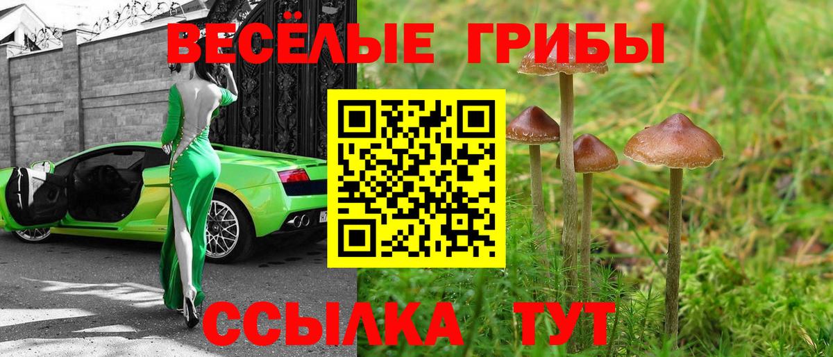 Бузулук  Псилоцибиновые грибы мицелий  Вход с VPN 